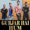 About Gurjar Hai Hum Song